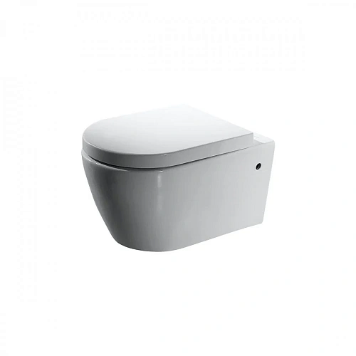 Унитаз подвесной Bravat Gina C2190UW-ENG с сиденьем Унитаз подвесной Bravat Gina C2190UW-ENG с сиденьем