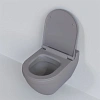 Унитаз подвесной Nord 133T20301 (535x385x360) серый матовый с тонкой крышкой 133T20301-132T20301S Унитаз подвесной Nord 133T20301 (535x385x360) серый матовый с тонкой крышкой 133T20301-132T20301S
