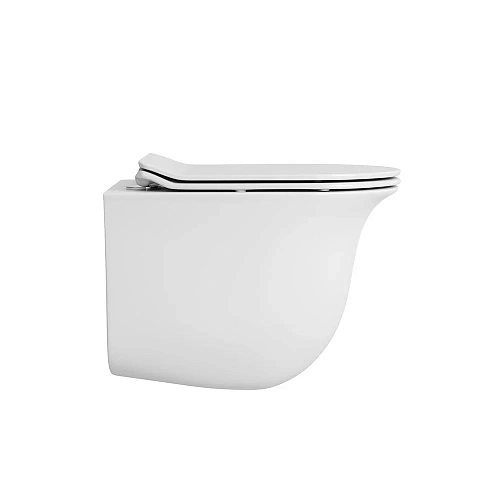 Унитаз подвесной OWL Eter Cirkel-H OWLT190201 безободковый с сиденьем DP микролифт Унитаз подвесной OWL Eter Cirkel-H OWLT190201 безободковый с сиденьем DP микролифт