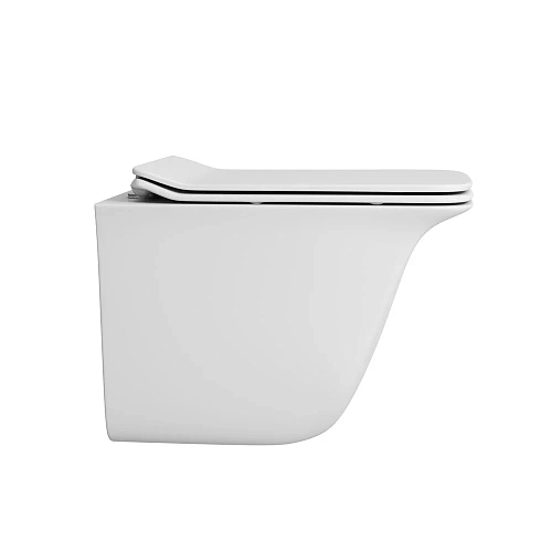 Унитаз подвесной OWL Eter Ruta-H OWLT190203 безободковый с сиденьем DP микролифт Унитаз подвесной OWL Eter Ruta-H OWLT190203 безободковый с сиденьем DP микролифт