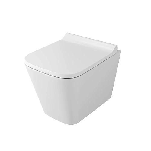 Унитаз подвесной OWL Vatter Ruta-H mini OWLT190403 безободковый с сиденьем DP микролифт Унитаз подвесной OWL Vatter Ruta-H mini OWLT190403 безободковый с сиденьем DP микролифт