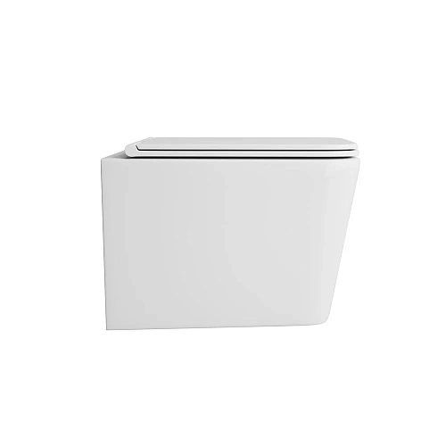 Унитаз подвесной OWL Vatter Ruta-H OWLT190401 безободковый с сиденьем DP микролифт Унитаз подвесной OWL Vatter Ruta-H OWLT190401 безободковый с сиденьем DP микролифт