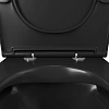 Унитаз подвесной OWL Vatter Ruta-H OWLT190404 Matt Black безободковый с сиденьем DP микролифт Унитаз подвесной OWL Vatter Ruta-H OWLT190404 Matt Black безободковый с сиденьем DP микролифт