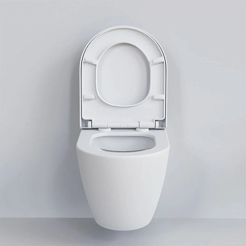 Унитаз подвесной Queen 113T20101R (570x360x400) белый матовый безободковый с толстой крышкой 113T20101R-112T20101 Унитаз подвесной Queen 113T20101R (570x360x400) белый матовый безободковый с толстой крышкой 113T20101R-112T20101