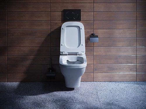 Унитаз подвесной Santek Лайн rimless 1WH501574 безободковый 1.WH50.1.574 Унитаз подвесной Santek Лайн rimless 1WH501574 безободковый 1.WH50.1.574