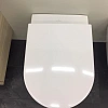 Унитаз подвесной Villeroy & Boch 2DAY2 46981001 (4698 10 01) Унитаз подвесной Villeroy & Boch 2DAY2 46981001 (4698 10 01)