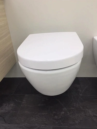 Унитаз подвесной Villeroy & Boch 2DAY2 46981001 (4698 10 01) Унитаз подвесной Villeroy & Boch 2DAY2 46981001 (4698 10 01)