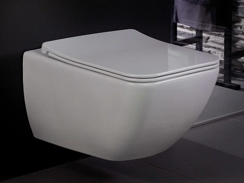 Унитаз подвесной Villeroy & Boch Venticello 4611RLR1 (4611 RL R1) CeramicPlus, DirectFlush Унитаз подвесной Villeroy & Boch Venticello 4611RLR1 (4611 RL R1) CeramicPlus, DirectFlush