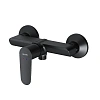 Смеситель для душа AM.PM Above F9X20022 черный