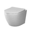 Унитаз подвесной AM.PM Like C801901SC AquaSpin 2.0 с сиденьем микролифт Унитаз подвесной AM.PM Like C801901SC AquaSpin 2.0 с сиденьем микролифт
