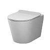 Унитаз подвесной AM.PM Sunny C85C1701SC Flashclean с сиденьем микролифт Унитаз подвесной AM.PM Sunny C85C1701SC Flashclean с сиденьем микролифт