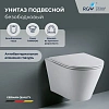 Унитаз подвесной RGW SW-52 80420252-01 Унитаз подвесной RGW SW-52 80420252-01