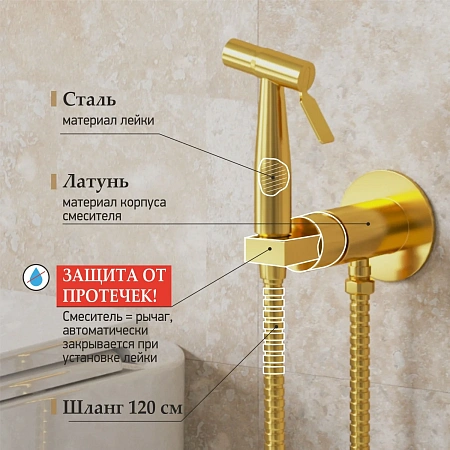 Детальная картинка товара «гигиенический душ paini кастелло capj442r встраиваемый, брашированное золото» Детальная картинка товара «гигиенический душ paini кастелло capj442r встраиваемый, брашированное золото»