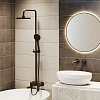 Душевая система Paini Viva Style P4YO687D250F3D110 поворотный излив, черный Душевая система Paini Viva Style P4YO687D250F3D110 поворотный излив, черный