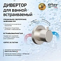Переключатель потоков Paini Кокс 78PW425 на 2 выхода, встраиваемый, брашированный никель Переключатель потоков Paini Кокс 78PW425 на 2 выхода, встраиваемый, брашированный никель
