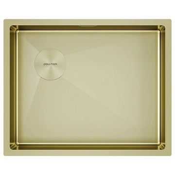 Кухонная мойка Paulmark NEXT-SKEW 54-L UNI PM885444-L-LG светлое золото 540х440мм