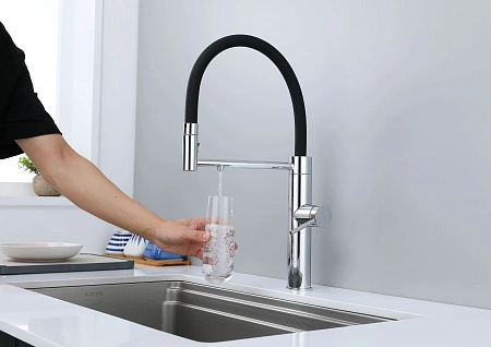 Смеситель для кухни Paulmark GANYMEDE Ga213199-CR хром Смеситель для кухни Paulmark GANYMEDE Ga213199-CR хром