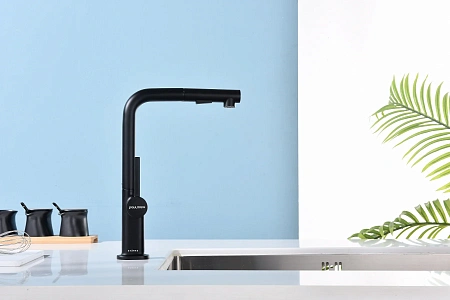Смеситель для кухни Paulmark NEO Ne214419-AN антрацит Смеситель для кухни Paulmark NEO Ne214419-AN антрацит