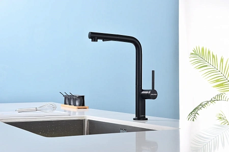 Смеситель для кухни Paulmark NEO Ne214419-AN антрацит Смеситель для кухни Paulmark NEO Ne214419-AN антрацит