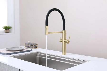 Смеситель для кухни Paulmark NEXUS Ne213999-LG светлое золото Смеситель для кухни Paulmark NEXUS Ne213999-LG светлое золото