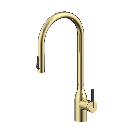 Смеситель для кухни Paulmark UNIVERSAL Un213880-LG светлое золото