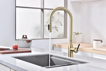 Смеситель для кухни Paulmark UNIVERSAL Un213880-LG светлое золото Смеситель для кухни Paulmark UNIVERSAL Un213880-LG светлое золото