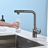 Смеситель для кухни Paulmark URBAN Ur213104-GM вороненая сталь Смеситель для кухни Paulmark URBAN Ur213104-GM вороненая сталь