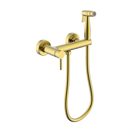 Гигиенический душ Raglo R20.51.03 настенный , сатин золотой Гигиенический душ Raglo R20.51.03 настенный , сатин золотой