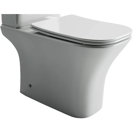 Чаша напольного унитаза Ceramica Nova ALFA Rimless CN9002-B белый с сиденьем Чаша напольного унитаза Ceramica Nova ALFA Rimless CN9002-B белый с сиденьем