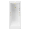 Ванна чугунная Vinsent Veron Tampa 170x70x42 VTP1707042H/VH0012MGD с ручками матовое золото Ванна чугунная Vinsent Veron Tampa 170x70x42 VTP1707042H/VH0012MGD с ручками матовое золото