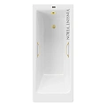 Ванна чугунная Vinsent Veron Tampa 170x70x42 VTP1707042H/VH0012MGD с ручками матовое золото Ванна чугунная Vinsent Veron Tampa 170x70x42 VTP1707042H/VH0012MGD с ручками матовое золото