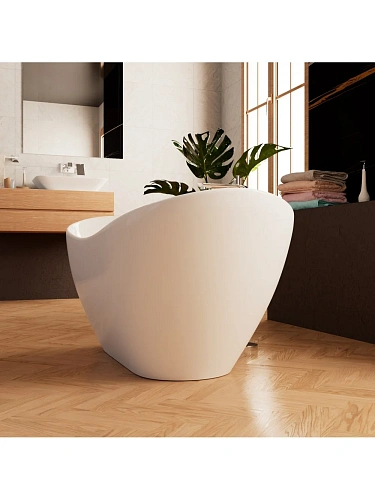 Акриловая ванна Frank F6163 White 170x80 см 12530 Акриловая ванна Frank F6163 White 170x80 см 12530