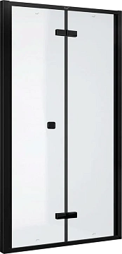 Душевая дверь Ceruttispa BELLA D101BF 100x195