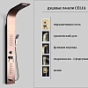 Душевая панель Ceruttispa CELIA RG CT10406 из нержавеющей стали, розовое золото Душевая панель Ceruttispa CELIA RG CT10406 из нержавеющей стали, розовое золото