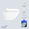 Унитаз подвесной Ceruttispa AMICI Aria Tornado CT11388 безободковый 490х335х340 Унитаз подвесной Ceruttispa AMICI Aria Tornado CT11388 безободковый 490х335х340