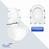 Унитаз подвесной Ceruttispa AMICI Aria Tornado CT11388 безободковый 490х335х340 Унитаз подвесной Ceruttispa AMICI Aria Tornado CT11388 безободковый 490х335х340