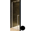 Душевая дверь Riho LUCID GD101 1000 x 2000 см GD110B000 BLACK Душевая дверь Riho LUCID GD101 1000 x 2000 см GD110B000 BLACK