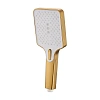 Душевая лейка BELZ BS02-5 брашированное золото Душевая лейка BELZ BS02-5 брашированное золото