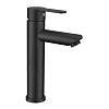Смеситель для раковины Fmark FS8211-2H черный
