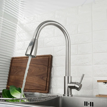 Смеситель для кухни FRAP F60899-1 с выдвижным изливом, сатин Смеситель для кухни FRAP F60899-1 с выдвижным изливом, сатин