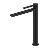 Смеситель для раковины Frap F1067-62 черный Смеситель для раковины Frap F1067-62 черный
