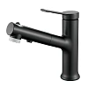 Смеситель для раковины Raffine F281H черный Смеситель для раковины Raffine F281H черный