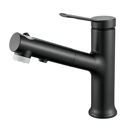 Смеситель для раковины Raffine F281H черный