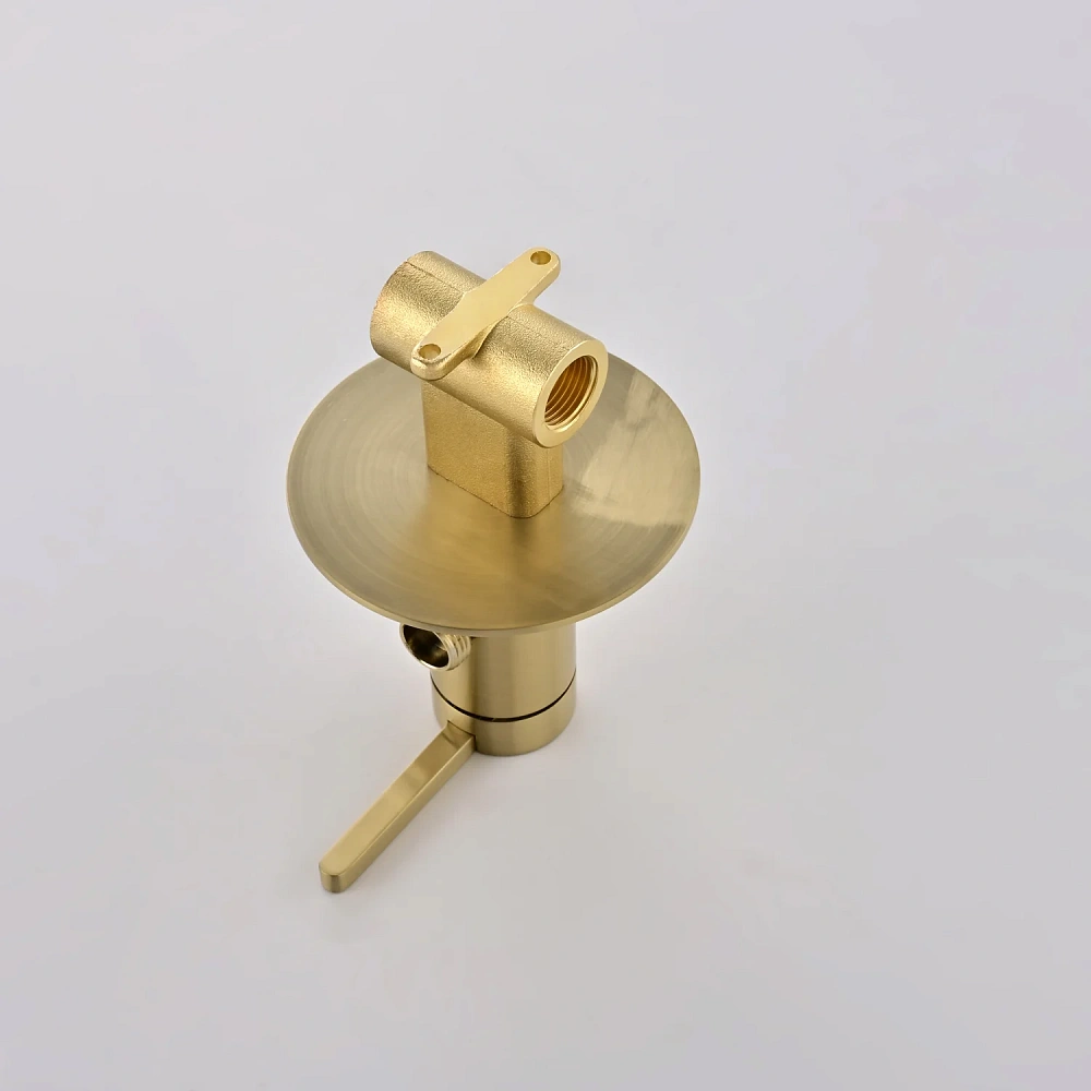 Гигиенический душ Rose R235G золотой сатин — Изображение 16