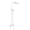 Душевая система Rose R2836C белый
