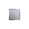 Зеркало Silver Mirrors ФР-00000710 с фацетом 10 мм 20х20см Зеркало Silver Mirrors ФР-00000710 с фацетом 10 мм 20х20см