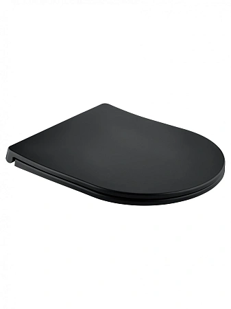 Крышка-сиденье Wonzon & Woghand (WW-S2210-MB) черный матовый