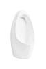 Писсуар Gid Q9501 91105 белый 35x31x70 Писсуар Gid Q9501 91105 белый 35x31x70