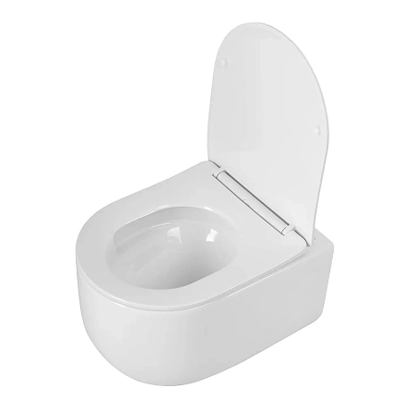Унитаз подвесной BelBagno SOFT-TOR BB084CH-TOR/SC безободковый c сиденьем Унитаз подвесной BelBagno SOFT-TOR BB084CH-TOR/SC безободковый c сиденьем