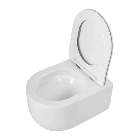 Унитаз подвесной BelBagno SOFT-TOR BB084CH-TOR/SC безободковый c сиденьем Унитаз подвесной BelBagno SOFT-TOR BB084CH-TOR/SC безободковый c сиденьем